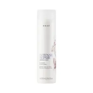 Condicionador Braé Intense Repair By Ana Paula Siebert Com 250 ml