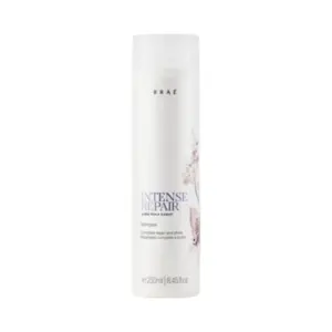Shampoo Braé Intense Repair by Ana Paula Siebert Com 250 ml