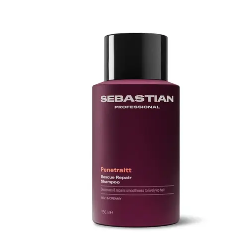 SH SEBASTIAN PENETRAITT 280ML