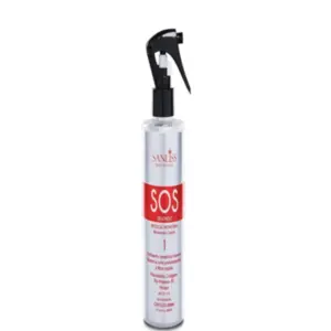 Reparação instantânea Sanliss Profissional Com 250 ml
